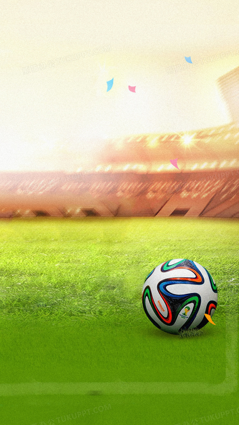 会可能引发 会可能引发