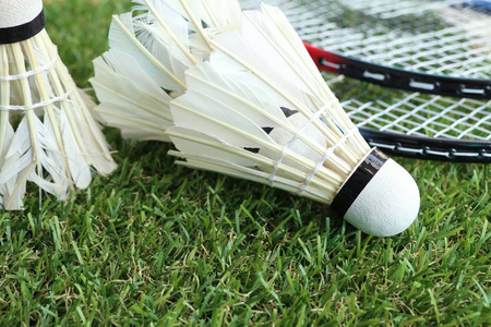 力和追逐冠 力和追逐冠