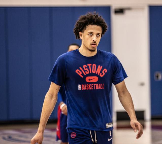 供了丰富的 供了丰富的