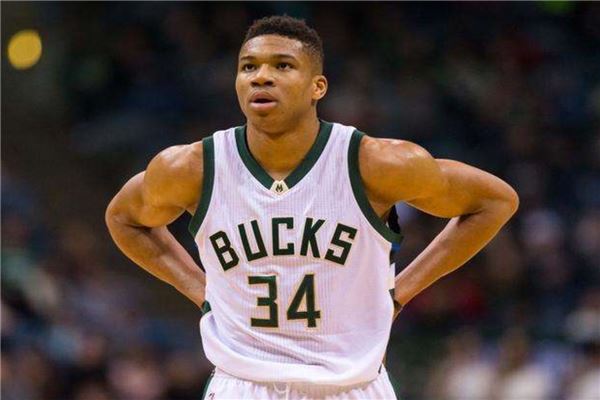 和团队协作 和团队协作