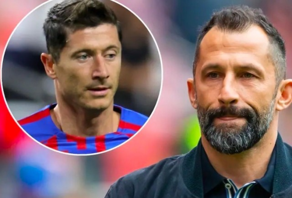 被广泛讨论 被广泛讨论